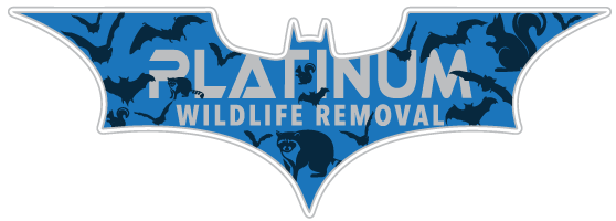 Wildlife Removal Benton County