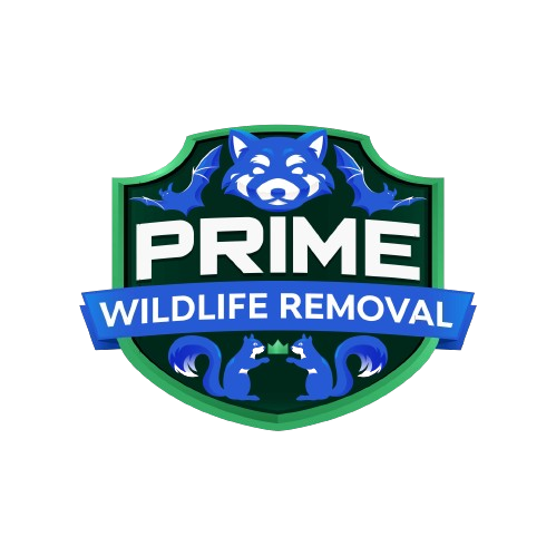 Wildlife Removal Benton County